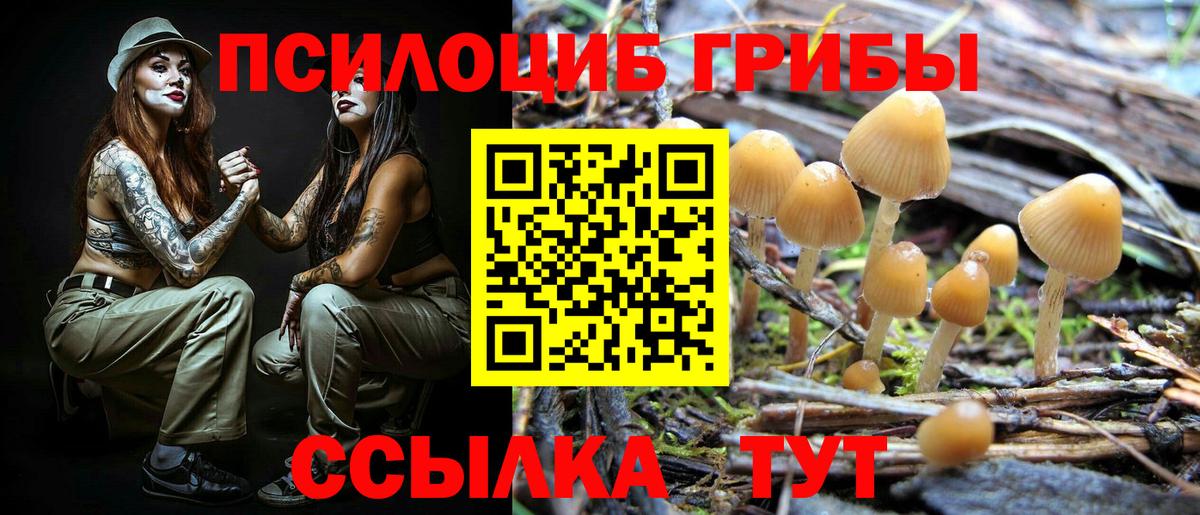 Галлюциногенные грибы Magic Shrooms Барнаул